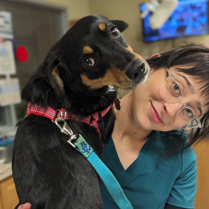 A woman with glasses embraces a dog in a vet office