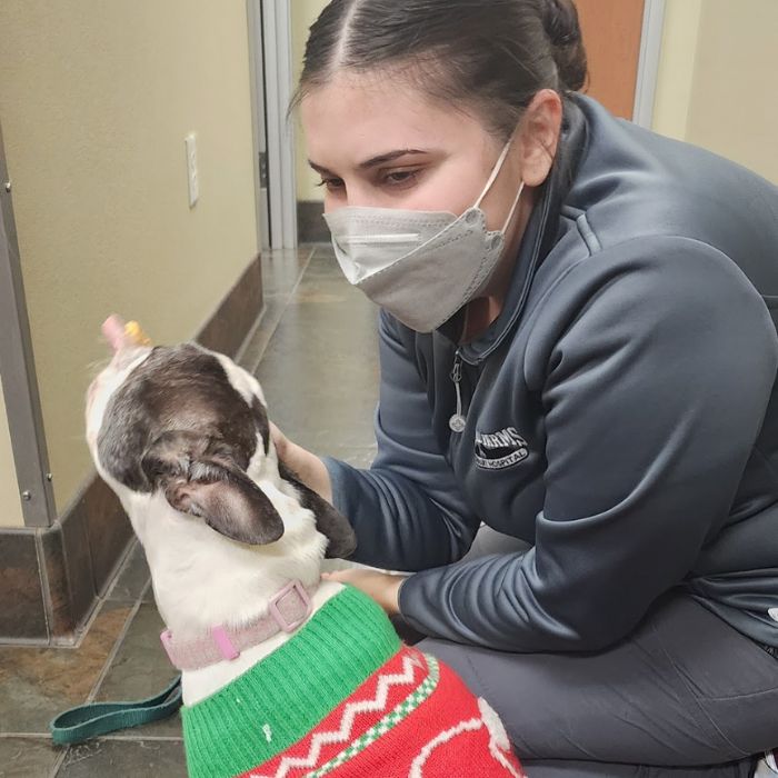 A masked woman lovingly pets a dog