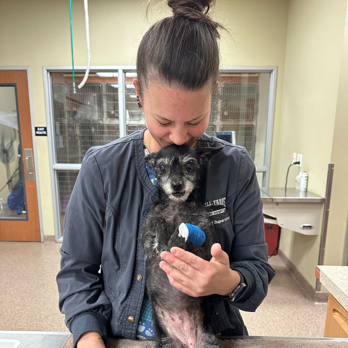 A woman cradles a small dog