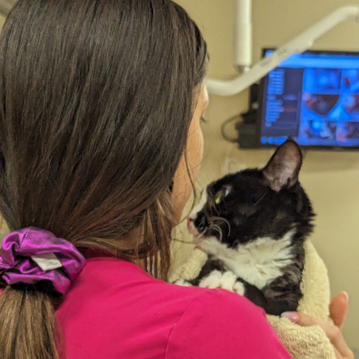 A woman is holding a cat wrapped in a towel