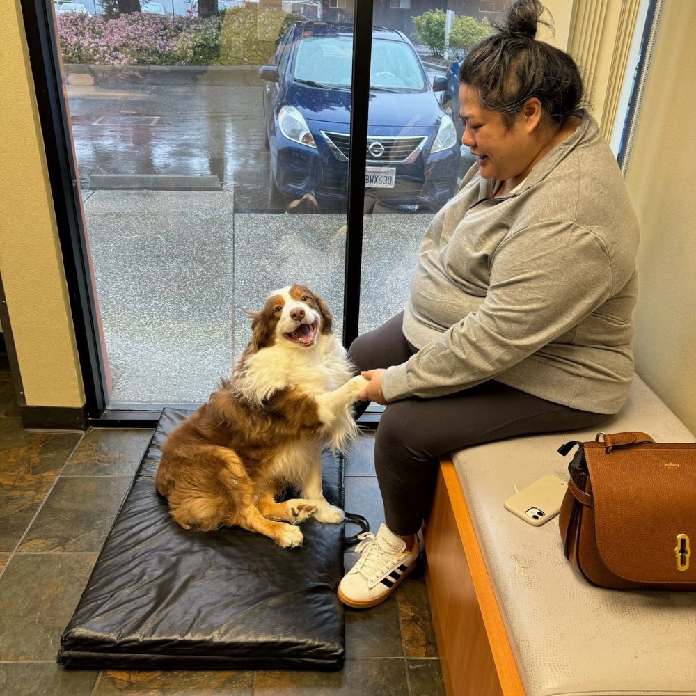 a woman sitting on a bench petting a dog