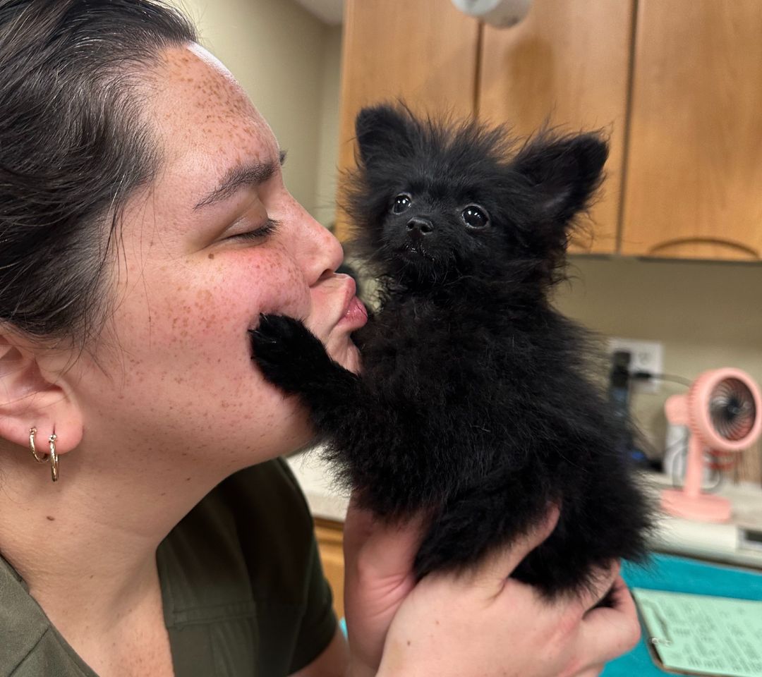 Tessa with Kitten