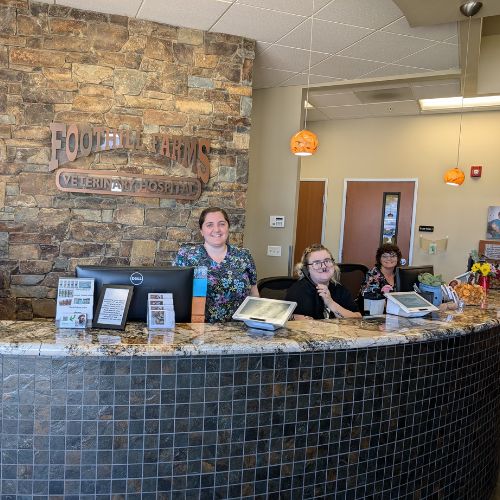 a couple of women sitting at a counter